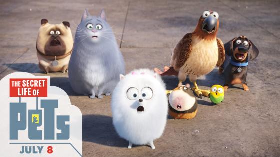 “the secret life of pets” يحطم رقماً قياسيّاً في الإيرادات